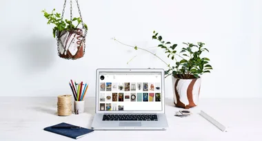 Workspace with a laptop, colorful pencils, notebooks, hanging and potted plants.