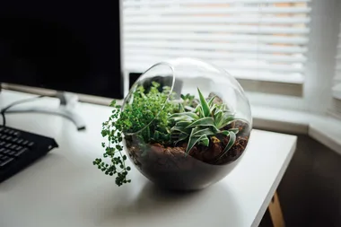 5 garden supply items for under $10 that will change your life | Home Beautiful Magazine Australia