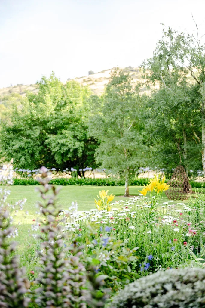 White daisies mix with yellow flowers and pink and red blooms in the foreground of this photo, with mature trees in the middleground and a hill in the background.