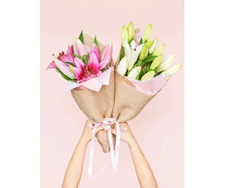 Oriental lilies, Daily Blooms