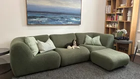 King Living 1977 sofa review in Mangrove colour with dog