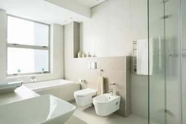 Royal Flush! 4 Modern Toilet Features Fit For A King & Queen