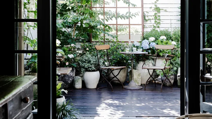 French doors leading from a kitchen into a courtyard decorated with ecclectic vintage plant pots.